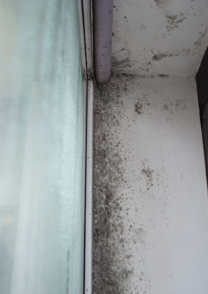 Photo of damp around a window is just one problme after buying a house