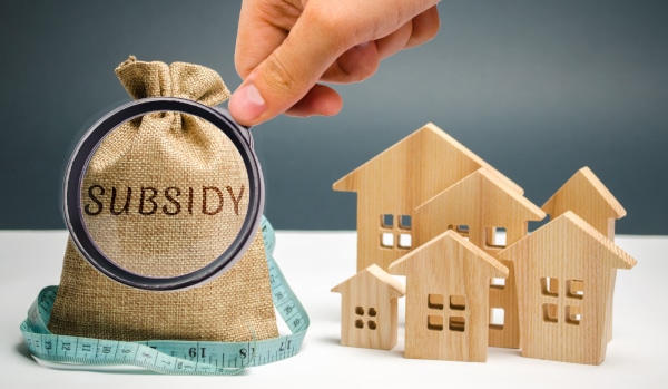 A sack of money with Subsidy printed on it sitting beside wooden model houses