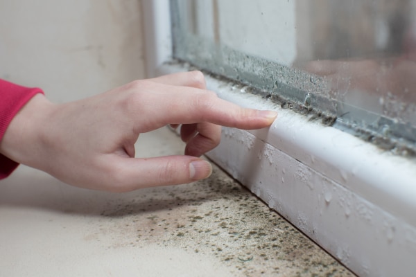 Lady points at mould on a windowsill from a leaking window before making a claim against surveyor in Scotland